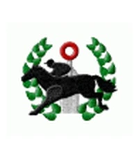 Horses5